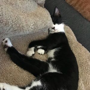 Bundle for Laurie 🤩